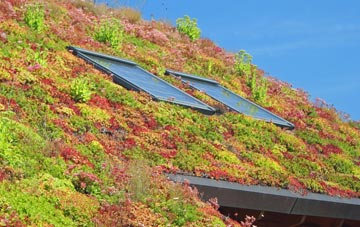 Bosley living roof systems